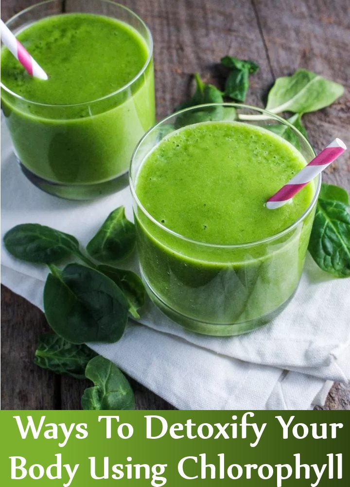 searchremedy's tweet photo. 6 Best Ways To Detoxify Your Body Using Chlorophyll
https://t.co/iZShia7As4
#detoxifybody #chlorophyll https://t.co/rPtc3erIv9