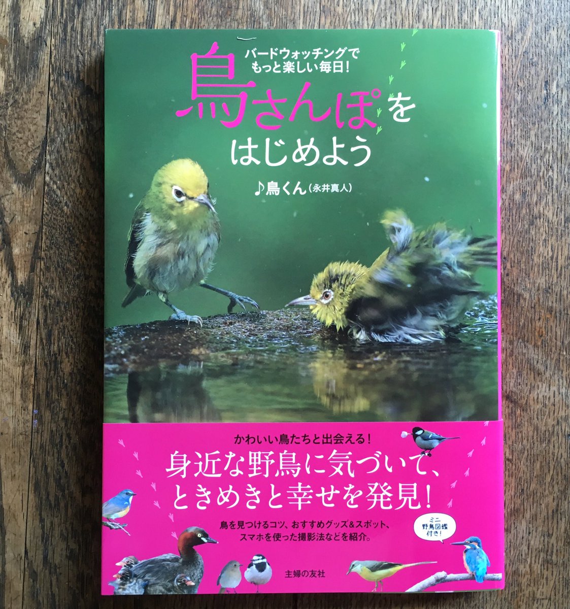 ひなた Hinata Zakka Net 鳥くん 永井真人 さんの新刊 鳥さんぽをはじめよう 主婦の友社 にひなたのバードノートをご紹介いただきました 表紙を描いてもらって 書き方 見本はcoyuraさんと言う なんと贅沢コラボ 笑 これから野鳥観察を始める人へ