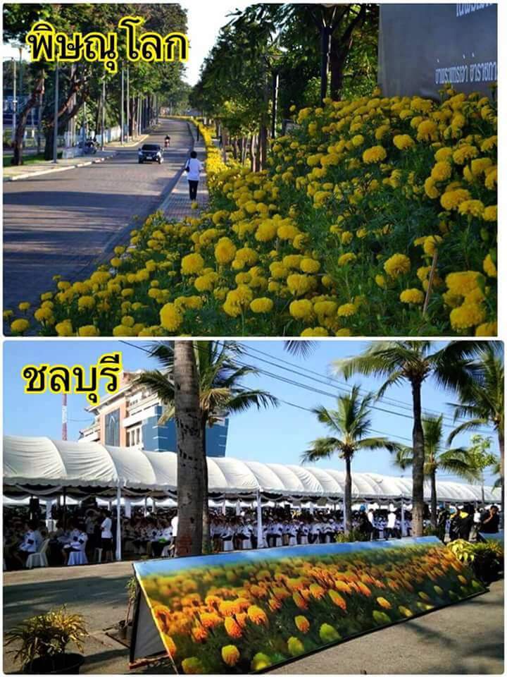 iBeamer_'s tweet photo. ได้ข่าวมาว่าน่าเกลียด แต่ไม่คิดว่าจะน่าเกลียดขนาดนี้ https://t.co/93hdsSgy2H