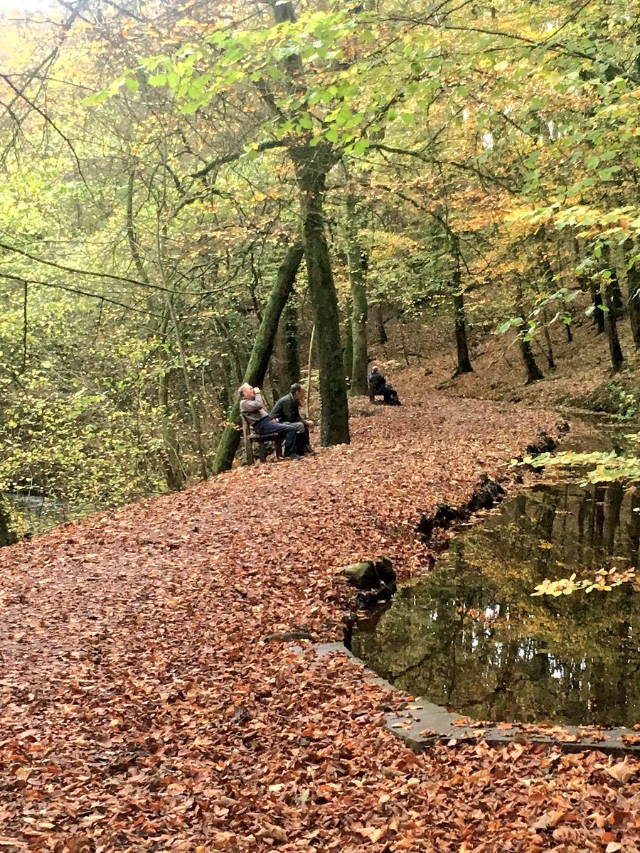 SkiptonWoodsWT's tweet photo. How beautiful does #SkiptonCastleWoods look today? Lots of folk out enjoying the 🍂 colour. https://t.co/tKl2PGeV8M