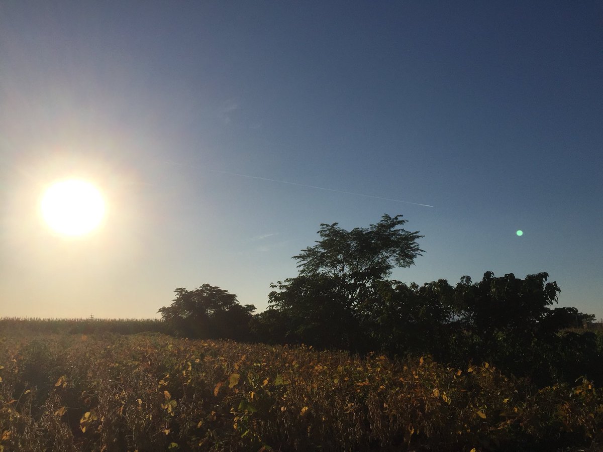 久々に中々いい写真
撮れた👍✨