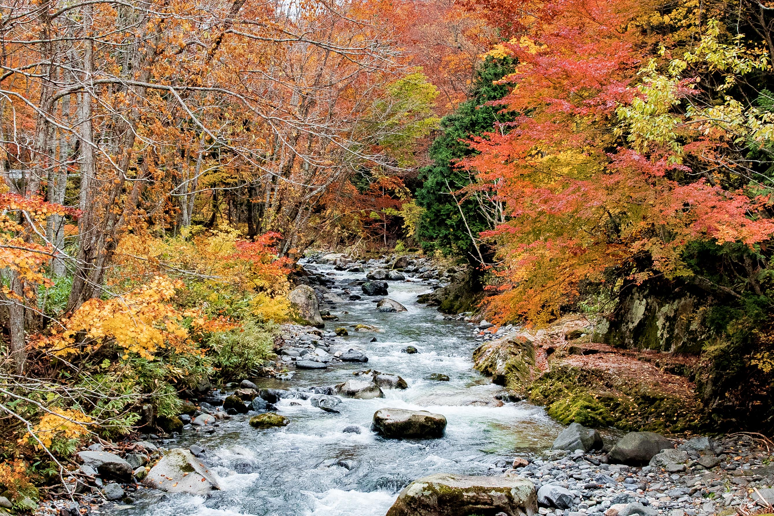 Japan Explorers 照葉峡の紅葉 4k60pの高画質で是非ご覧ください Youtube T Co Cb4tfxxcgs 照葉峡 水上 群馬 紅葉 絶景 風景 日本 国内旅行 旅行 旅カ Japan Photography ファインダーの越しの私の世界 T Co Oiyyhrpasb