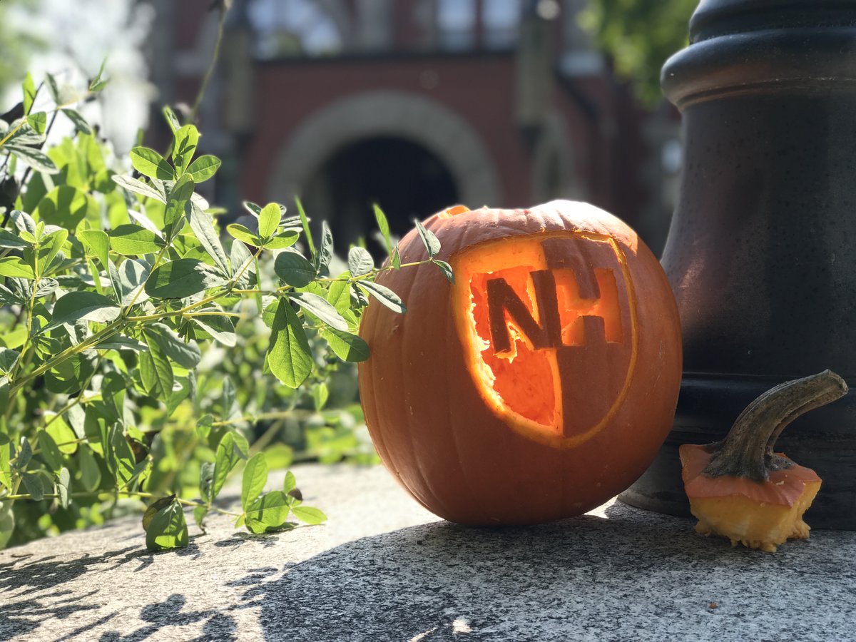 UofNH's tweet photo. Happy #Halloween, Wildcats. https://t.co/xrRJa970Yp