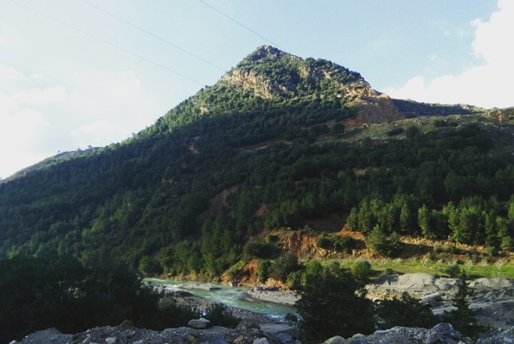 _sarah_zi's tweet photo. #اكتشف_الجزائر #السياحة_في_الجزائر #photography #nature #السياحة #Tourisme #blida #البليدة #algerie https://t.co/mqjPvxXkvo