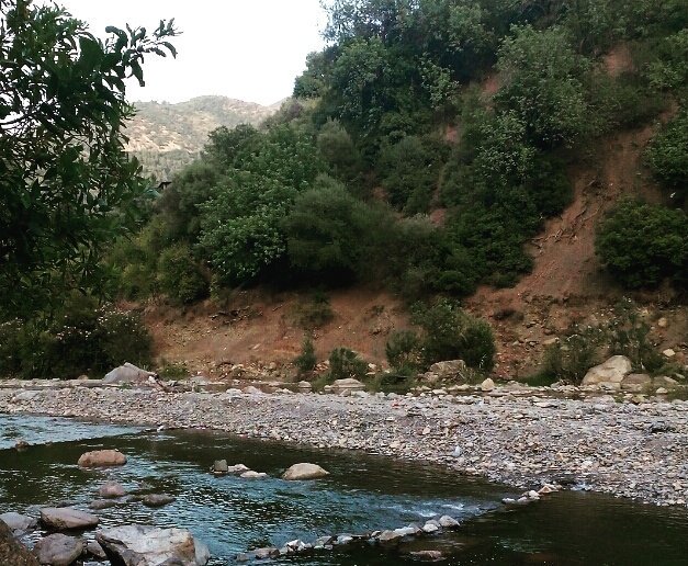 _sarah_zi's tweet photo. #اكتشف_الجزائر #السياحة_في_الجزائر #photography #nature #السياحة #Tourisme #blida #البليدة #algerie https://t.co/mqjPvxXkvo