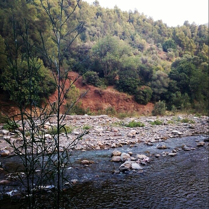 _sarah_zi's tweet photo. #اكتشف_الجزائر #السياحة_في_الجزائر #photography #nature #السياحة #Tourisme #blida #البليدة #algerie https://t.co/mqjPvxXkvo