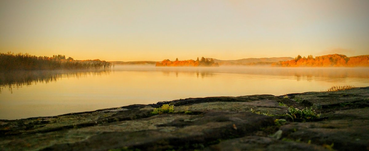 printmediapower's tweet image. Beautiful photo of Inchmahome Priory on the Lake of Menteith in the final days of the season @HistEnvScot #HES #Scotland #directdistribution