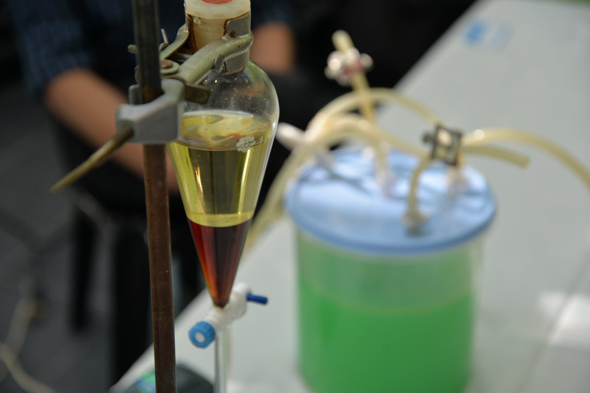 CienciaPBA's tweet photo. #BuenMartes en #VicenteLópez | En minutos se definen los ganadores de #AllTec, el primer concurso provincial de #bioemprendedores https://t.co/fA9hdKpGBG