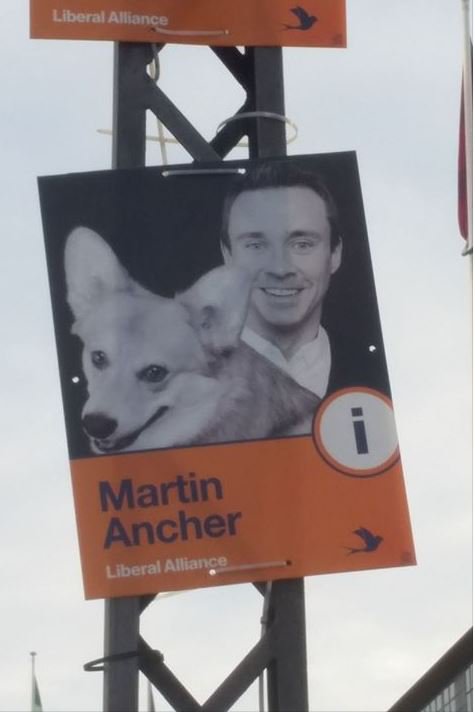Thomas_Rohde's tweet photo. Balancen mellem hund og kandidat er helt perfekt på den her valgplakat. #dkpol https://t.co/Nq8Umo5wS9