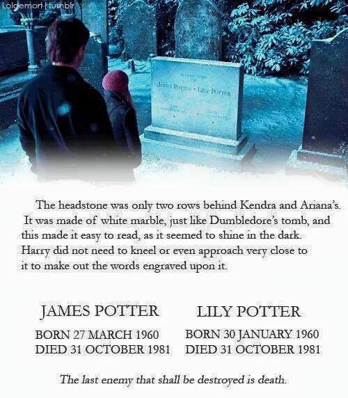 HogwartsTeamTR's tweet photo. Lumos https://t.co/SIvfT5bcA1