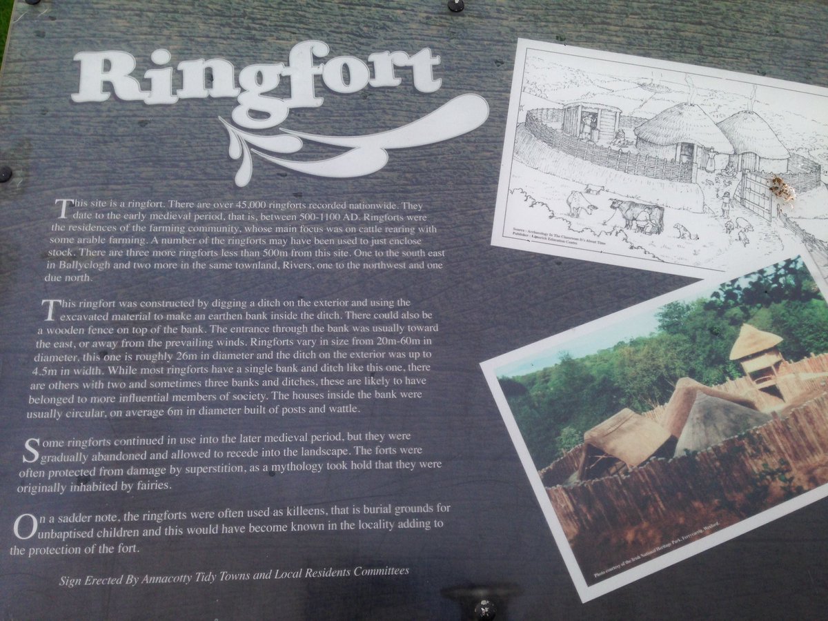 theabhorsen's tweet image. Pottered into the Annacotty ringfort while walking the dog yesterday #Limerick #Ringfort #ArcheologyIreland