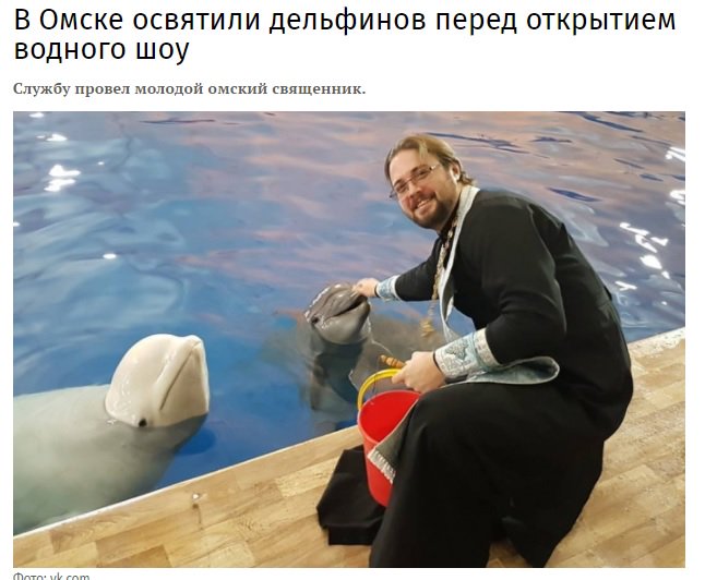 mix_voronezh's tweet photo. Я запутался чот: Т.е. дельфины теперь православные, верят в Иисуса и когда помрут то отпевание в РПЦ и крест на могиле? Так штоле?🐬⛪️☦️ https://t.co/SZ5KzW99V7