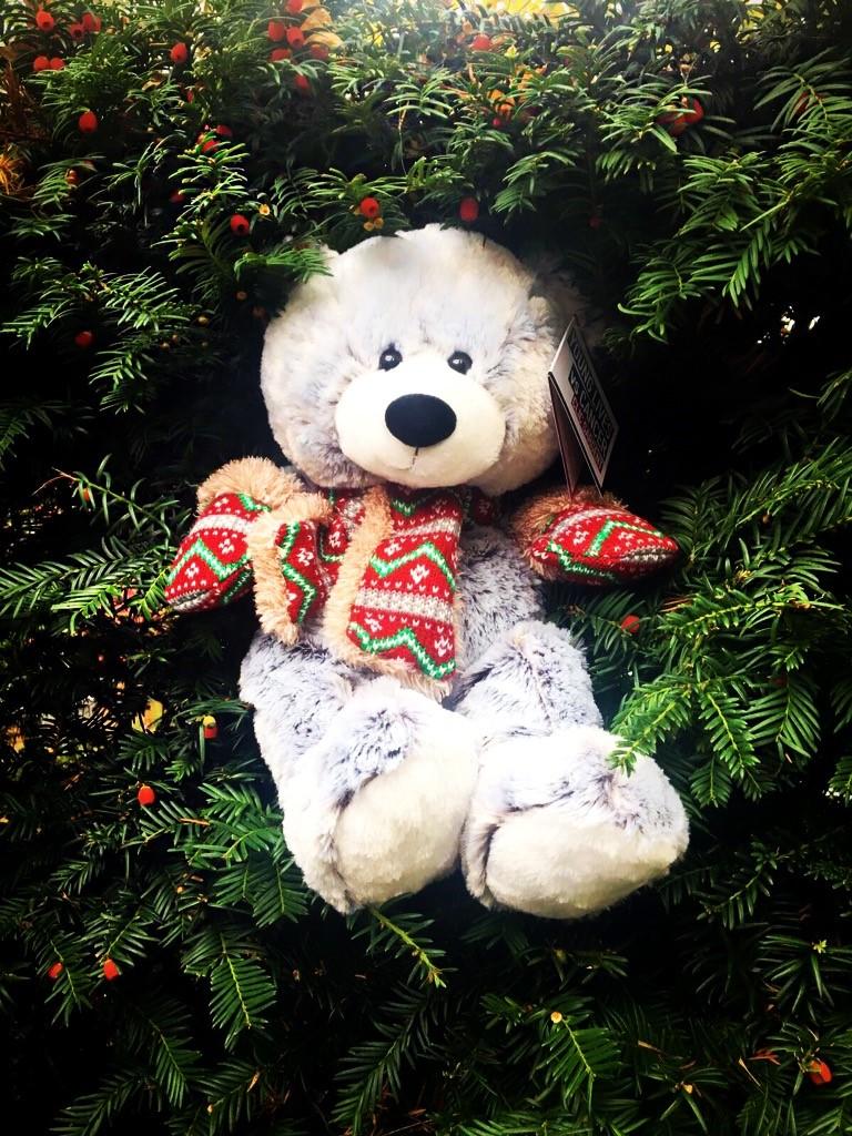 hsamueljeweller's tweet photo. Meet the adorable fluffy snowy. Buy online to support young cancer patients @CLIC_Sargent. Details> https://t.co/wK9EMvcOhC #charitytuesday https://t.co/ktsGS2Bztt