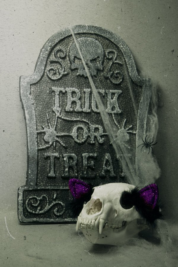 Happy Halloween from all of us at Museum of Osteology!!