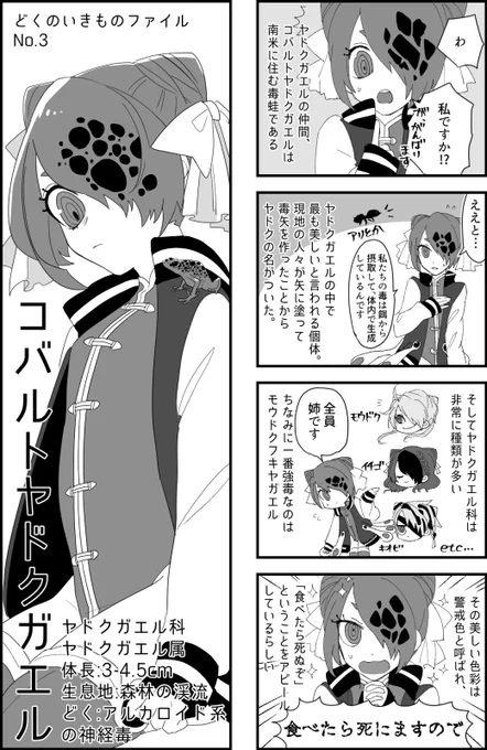 カエルとクモ #どくもの 