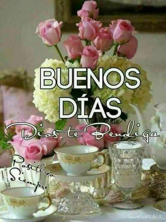 RAJOFELIPE tweet picture