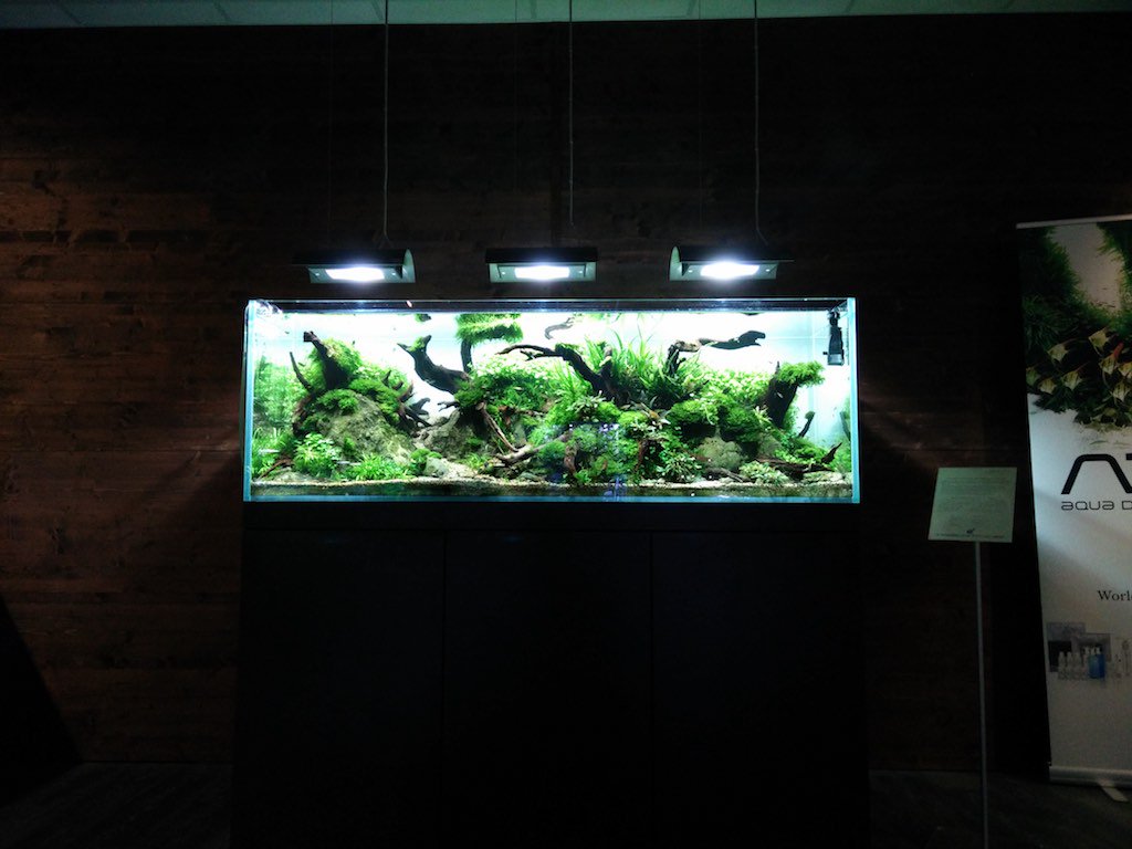 AquascapingBER's tweet photo. Update meiner "Was ist #Aquascaping?" Seite ist online unter: https://t.co/QfWfr71zUK #aquascape https://t.co/tXi1xPZs8w