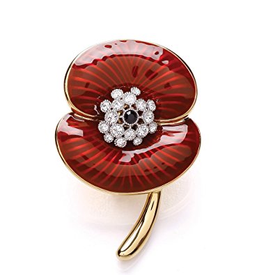 Poppy Appeal Cardiff tweet media