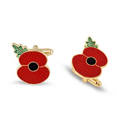 Poppy Appeal Cardiff tweet media