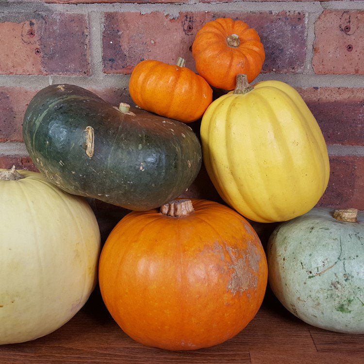 We will throw away 18,000 tonnes of pumpkin this Halloween! This frightening figure is #ScarierThanHalloween > ow.ly/tdN630gaY8i