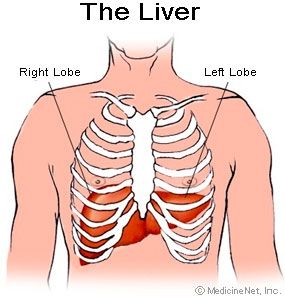 cal_codersource's tweet image. Why wouldn't the ghost eat liver?
Because he didn't have the stomach for it! 🤣🎃🕸
#halloweenjokes #Halloween2017
