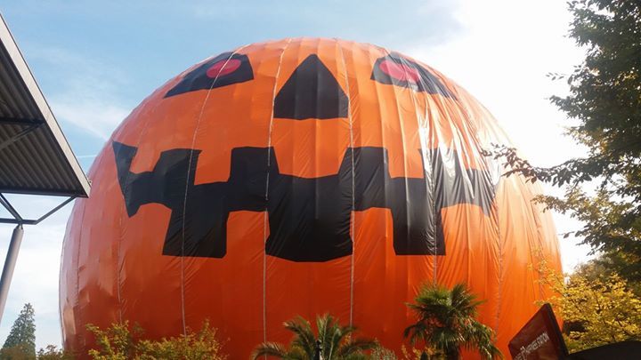 EPFans100's tweet image. 🎃 Happy Halloween 🎃