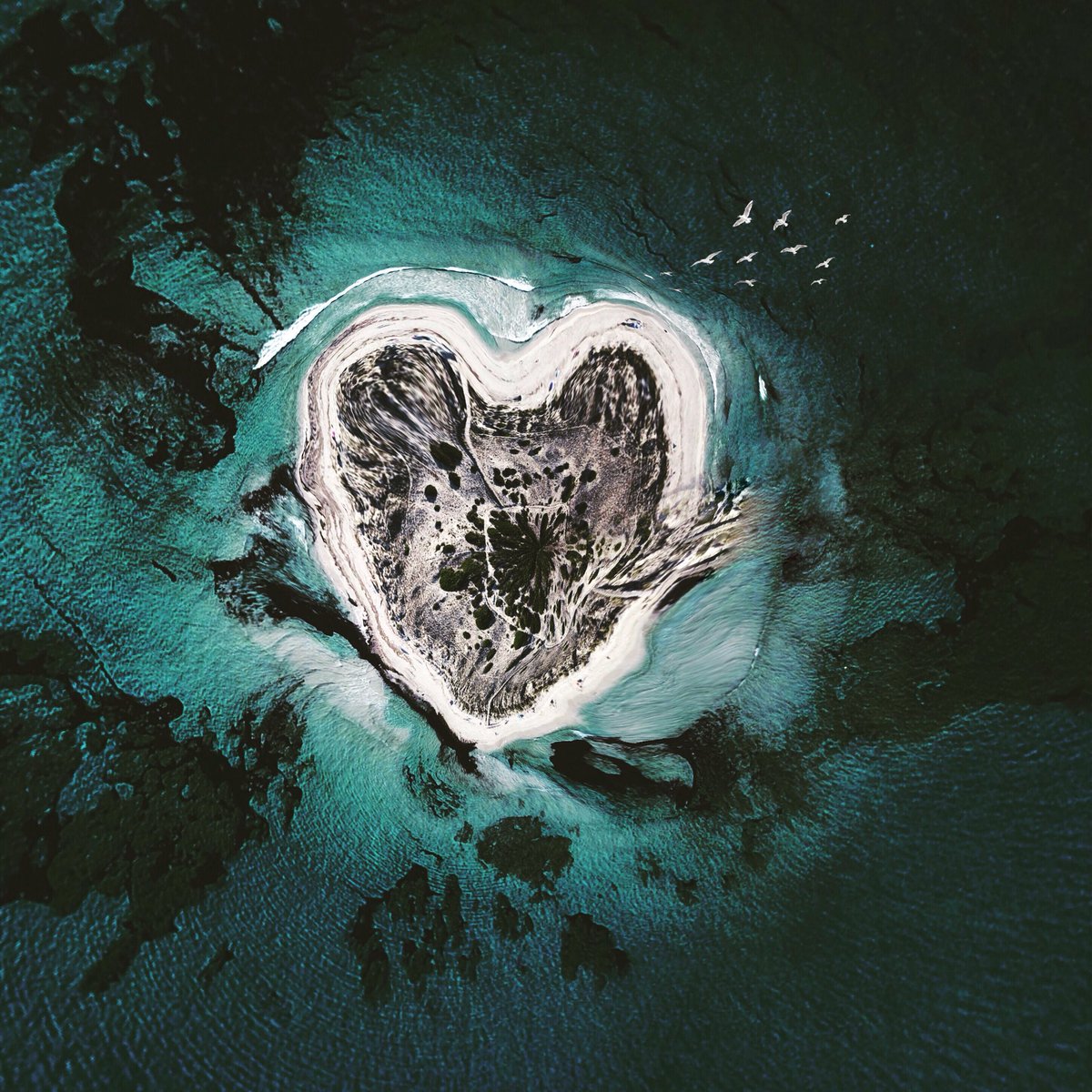 sollyleviphoto's tweet photo. #island #love #drone #travel https://t.co/uCxBCnROFr