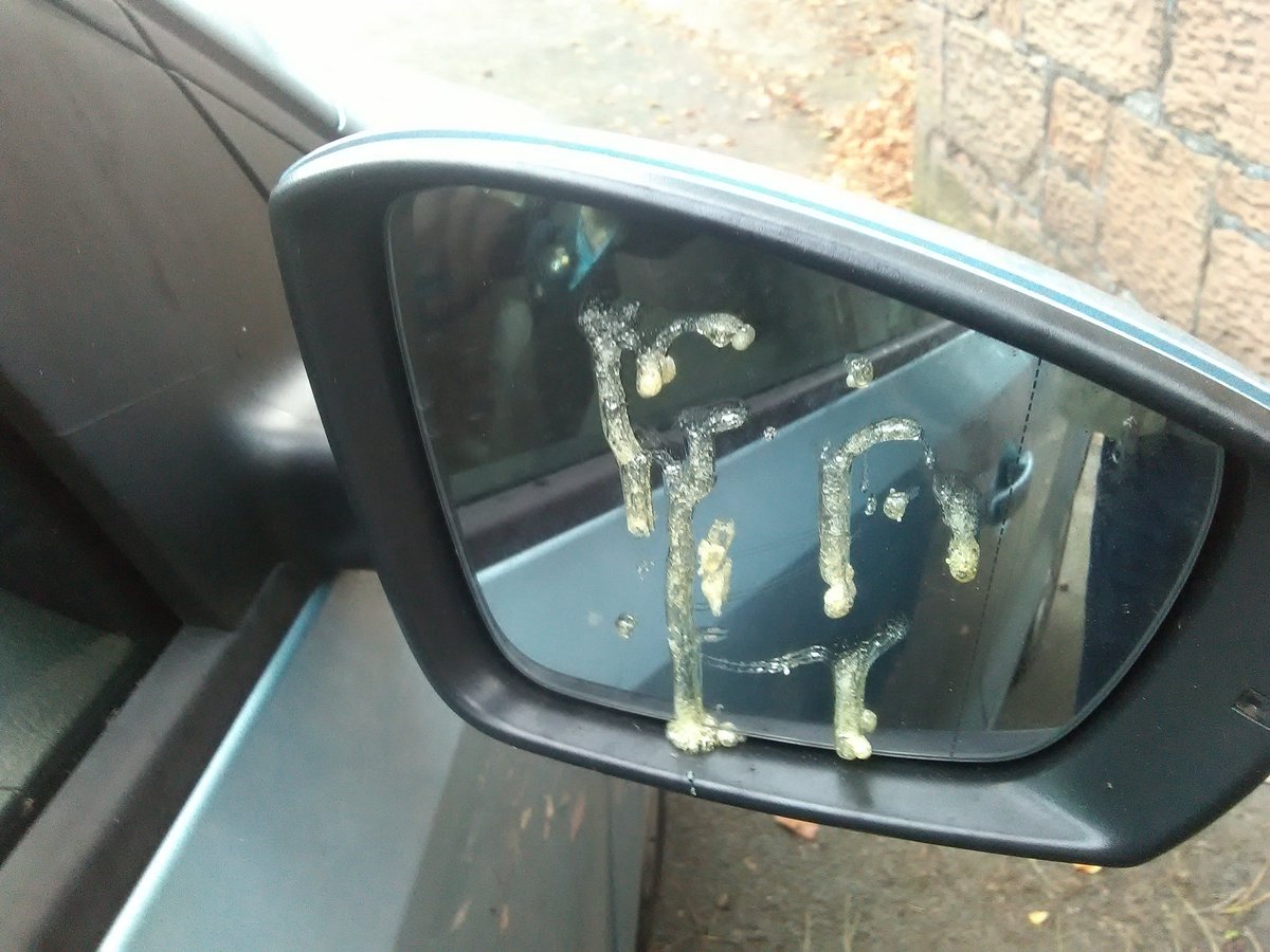 Woke up this morning to glue on both wing mirrors. That's not #Halloween it's criminal damage. @HeswallToday @heswallmagazine (Dawstone Rd)