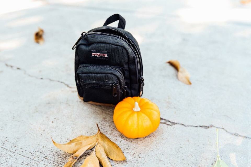 jansportjp's tweet photo. ハッピーハロウィン🎃👻
楽しいハロウィンナイトになりますように。
https://t.co/SX8imcul1f
#JanSport #RightPouch #LifeUnzipped #Halloween https://t.co/Ia7E2d957P