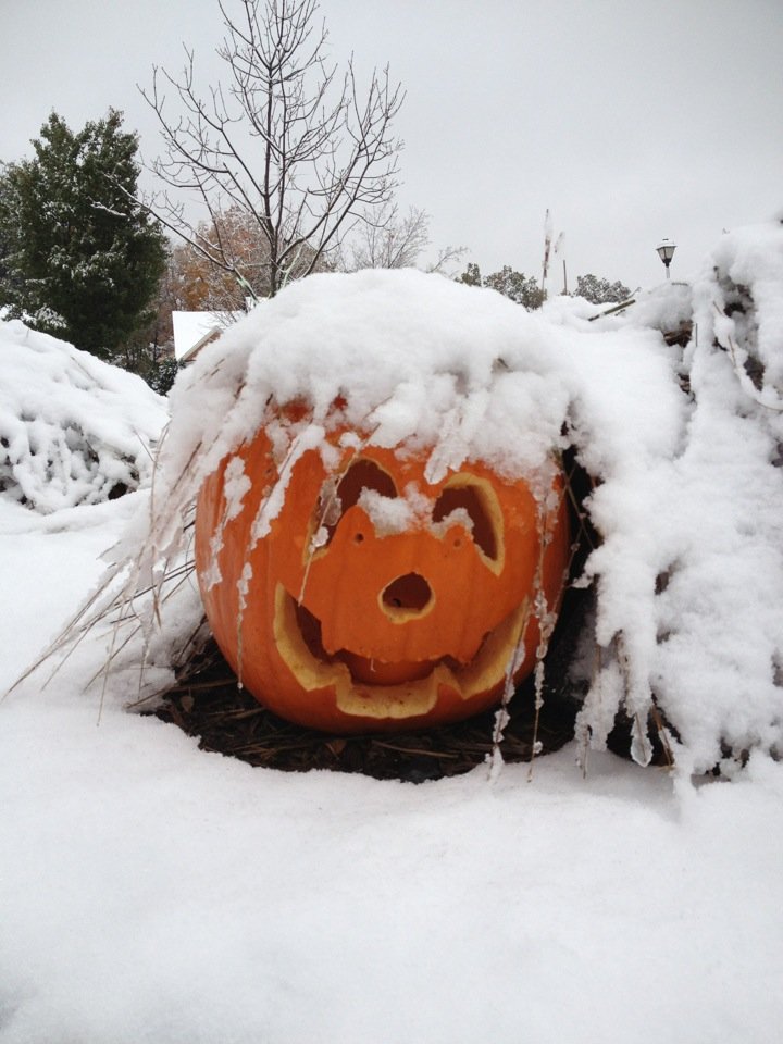 NWGritters's tweet photo. #HappyHalloween Gritting season starts tomorrow #frost #ice #snow #GrittingService #WinterMaintenance #NorthWales #Cheshire #NorthWest https://t.co/H9j9bd7JXJ
