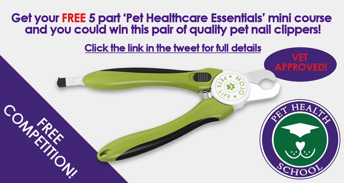 PetHealthSchool's tweet photo. Sign up for our 5 part pet healthcare essentials mini course and you could #win these quality vet approved pet clippers. It’s #FREE! https://t.co/hX8Z2iXFNg https://t.co/2LtsvToADk