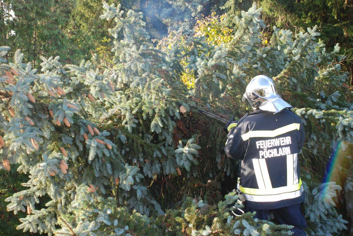 FFPoechlarn's tweet photo. Pöchlarn: Baum liegt über Erlauftalbahnstrecke! https://t.co/94uJs8Oczc https://t.co/Td1g5jCofA