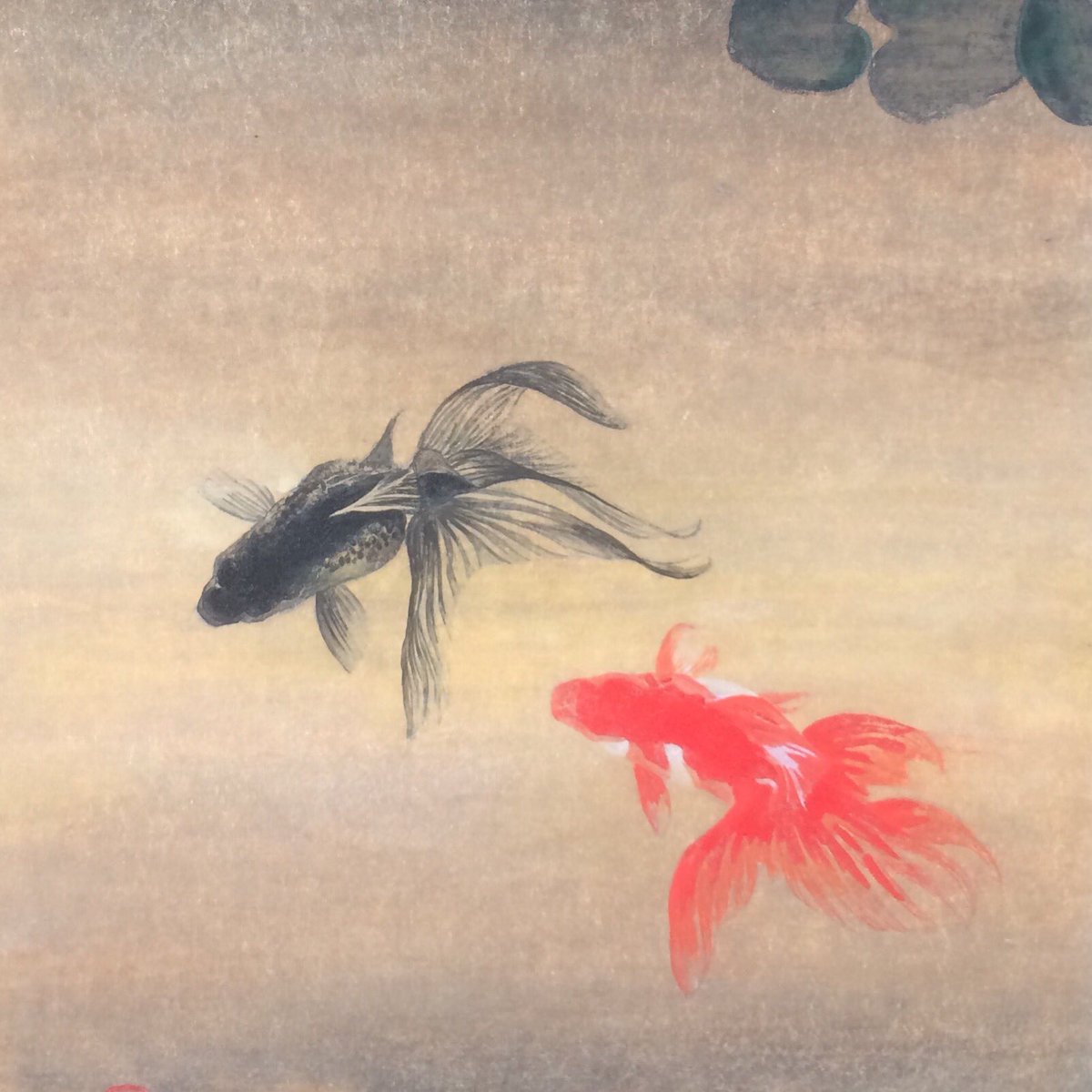近藤 守 בטוויטר Detail Rock Paintings And Mixed With Animal Glue 日本画 墨 岩絵の具 近藤守 絵画市 船橋 絵画市 安らぎ 木目 F分の1ゆらぎ 琉金 金魚 Art Artwork Japanesepainting T Co Nmdf9dx3gw 近藤 守 בטוויטר Detail Rock Paintings And Mixed With Animal Glue 日本画 墨 岩絵の具 近藤守 絵画市 船橋 絵画市 安らぎ 木目 F分の1ゆらぎ 琉金 金魚 Art Artwork Japanesepainting T Co Nmdf9dx3gw