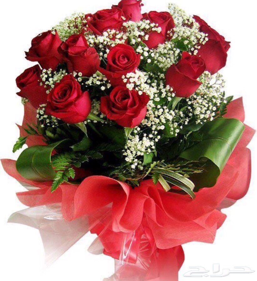 amera11346776's tweet photo. حاجتي فالحب حاجه منطقيه
والمحبه .. مـا تـجينا بـالـوراثة 

أبتسامه - وأهتمام - وطيب نيه
 وين أحصل ناس تجمع هالثلاثه❤ https://t.co/u4wlRUZgO4