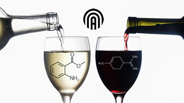 Un “vino sintético” intenta imitar el sabor de los vinos finos y caros
ow.ly/6gOd30dw2nt