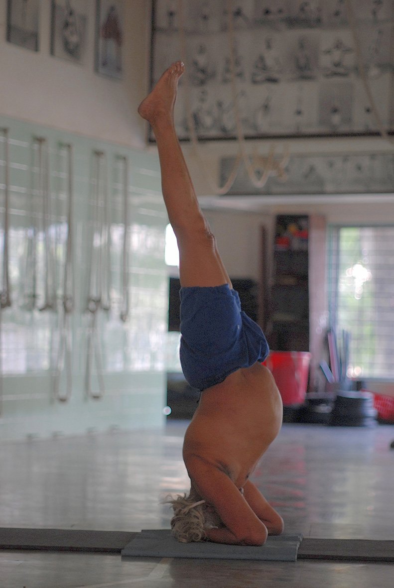 "Wandering mind dissipates energy, one pointed mind retains energy" - BKS Iyengar #yoga