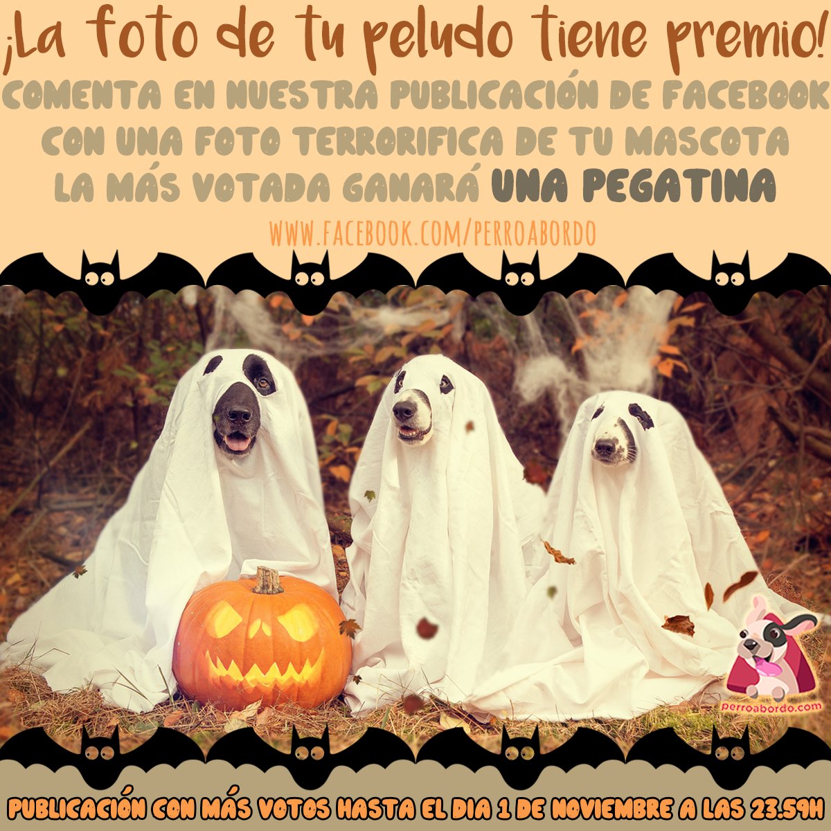 🎃👻En Perroabordo nos gustaría ver todos vuestros peques disfrazados y hemos preparado el siguiente concurso en FB 🎁 bit.ly/2zSWy0p