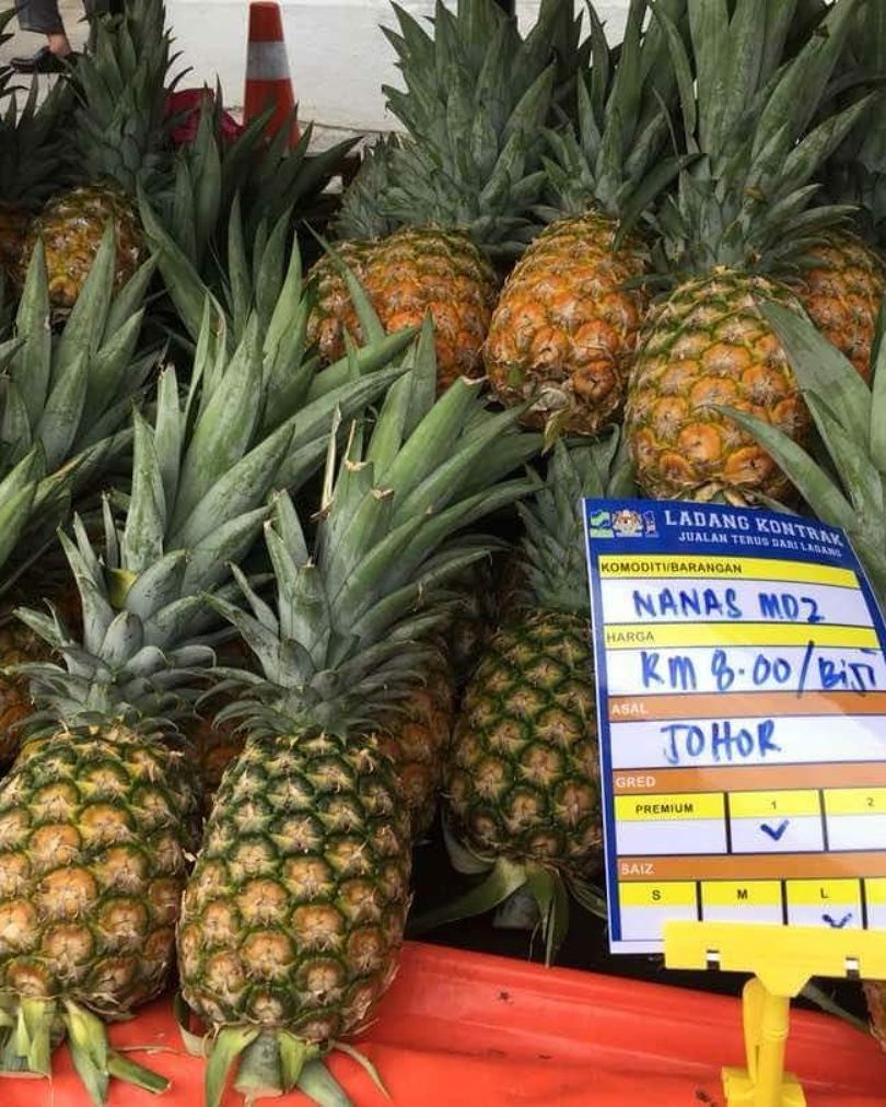 1 Ekar Nanas Md2 Boleh Jana Pendapatan Rm164 Ribu Rentas Asia
