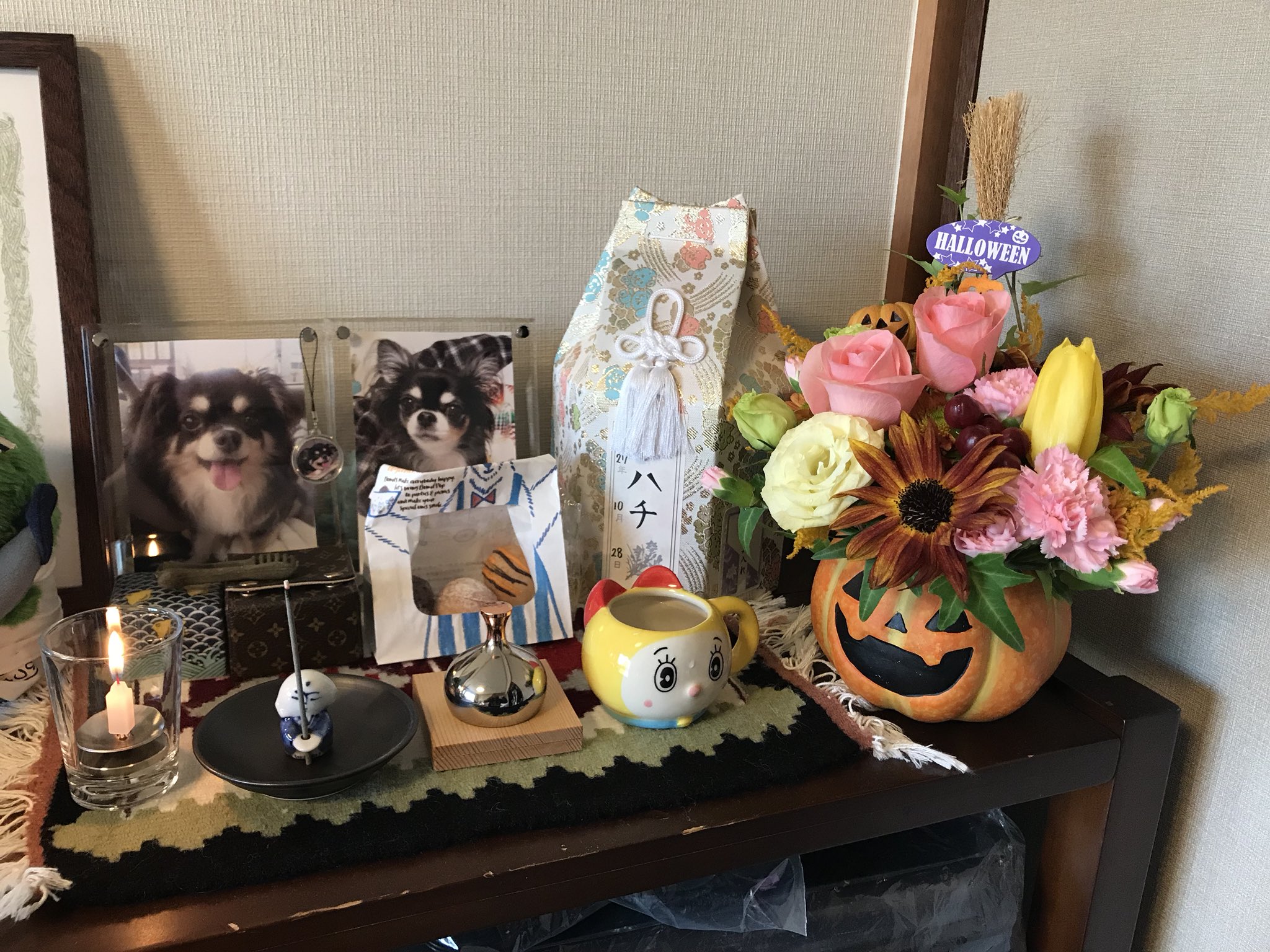Nanaぴ ハチの命日が28日だったので 家族からお花とお供え物 頂きました 時期的に Halloween 仕立てのアレンジw ハロウィン 犬は家族 お花 わんこ 愛犬家 犬 猫 動物 いぬ ペット チワワ 写真 カメラ フォロー T Co