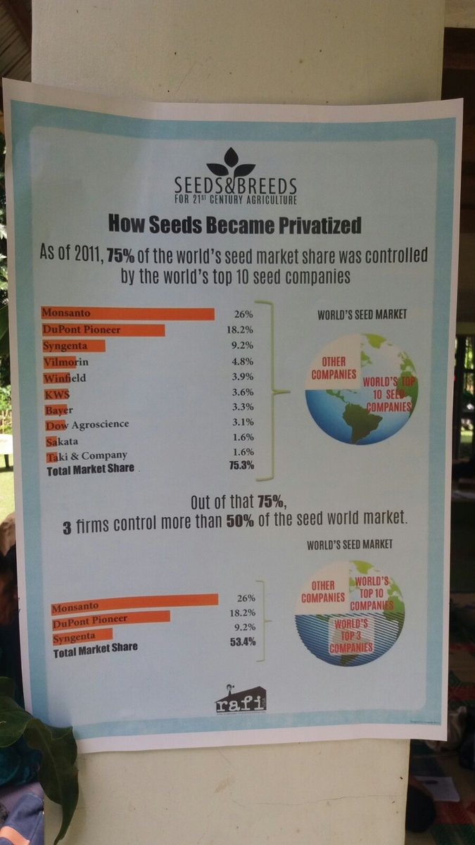occupytheseed's tweet photo. Our #Diverse &amp; #Resilient #Seeds allow for evolution &amp; adapt to #ClimateChange https://t.co/w7b0eSD8pN #SeedFreedomIndonesia @drvandanashiva https://t.co/sEacQspZTC