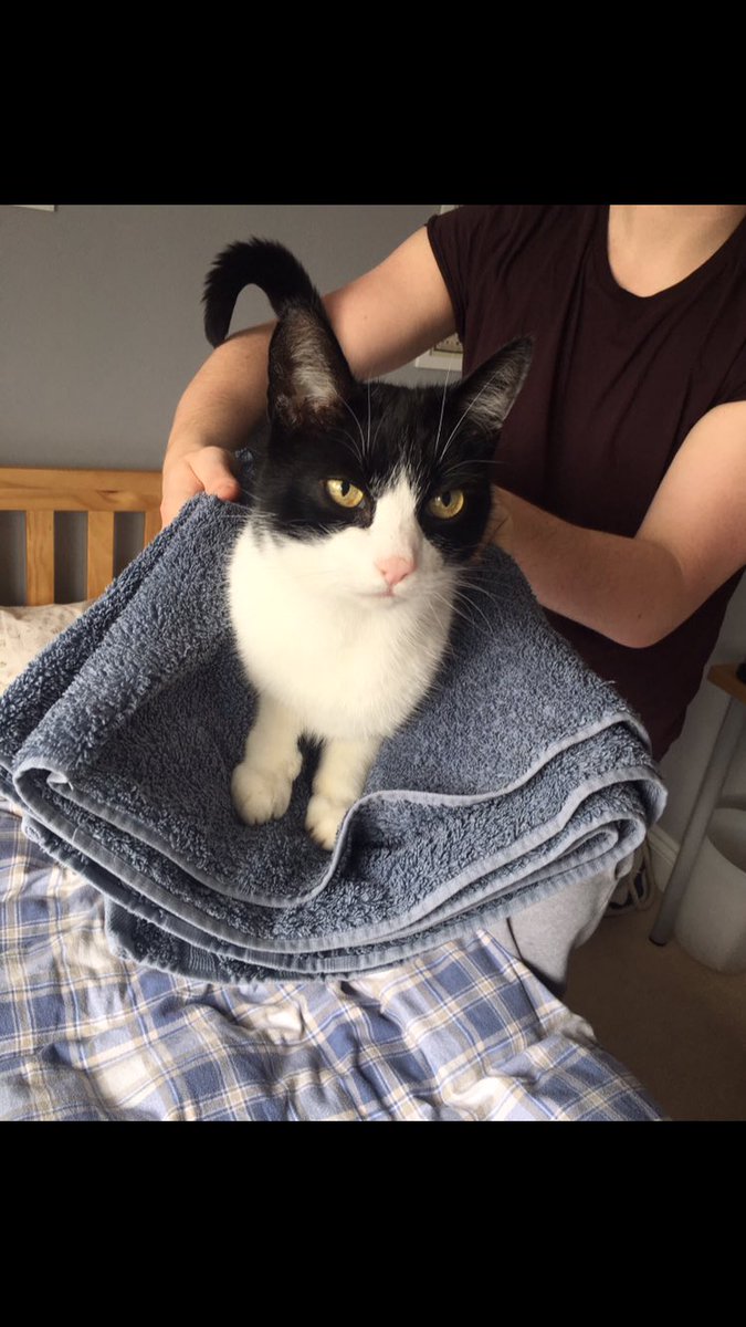 lxthrdg's tweet image. For a cat with a weak heart you gave me so much love and happiness. I’m going to miss you so much Joey, and I’ll love you forever ❤️💛💚💙💜😞