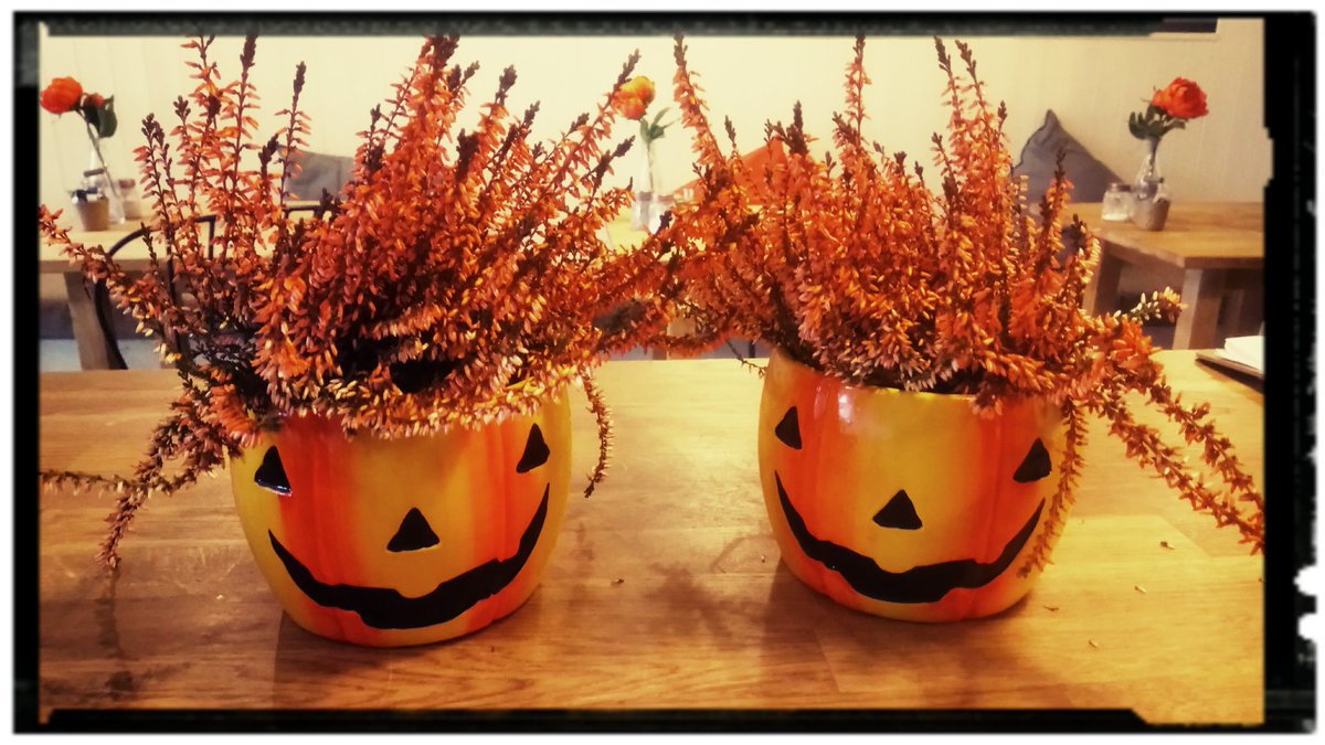 Happy Halloween 🎃