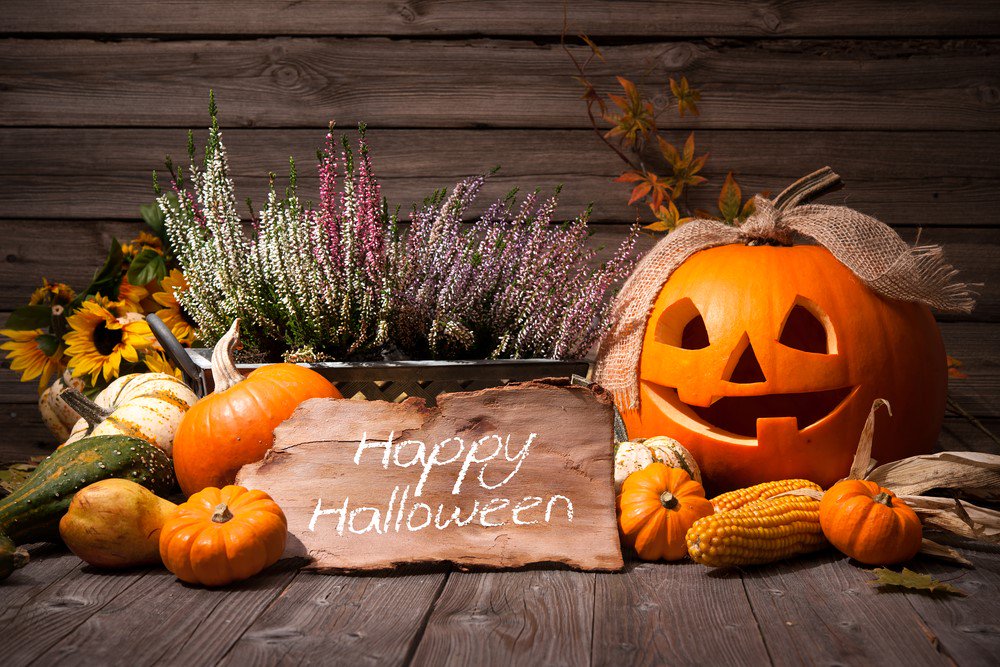 ZeiglersQue's tweet photo. Happy Halloween! #zeiglersbbq #hungry #family https://t.co/Gy9XRPlxAr