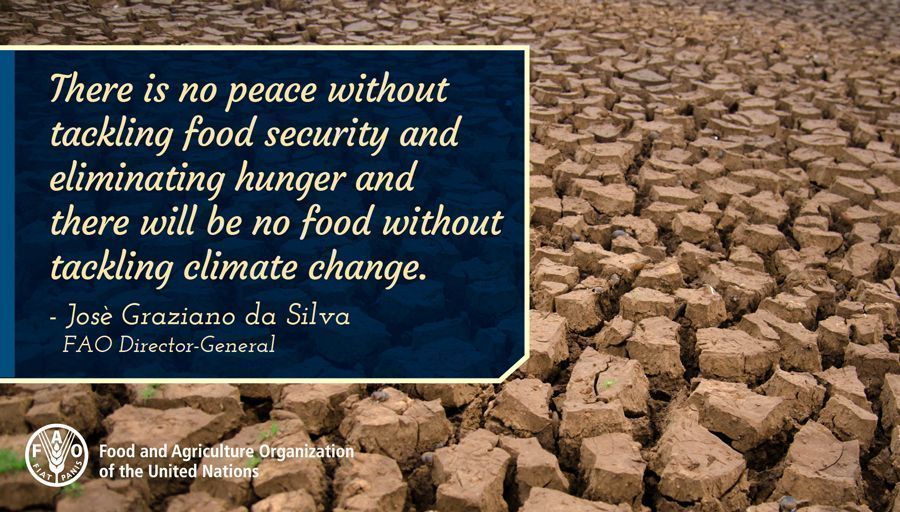 FAOclimate's tweet photo. We need to invest in #foodsecurity & #climateaction if we want a #zerohunger ๐ #COP23 @grazianodasilva via @FAOKnowledge https://t.co/uEKfGPVTW7