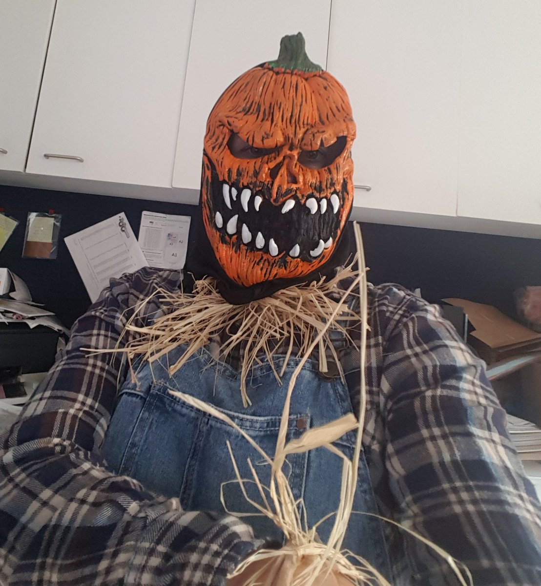 Giftwrapituk's tweet photo. Just freaked out the UPS guy.......Happy Halloween! #HappyHalloween https://t.co/Mri6La37FK