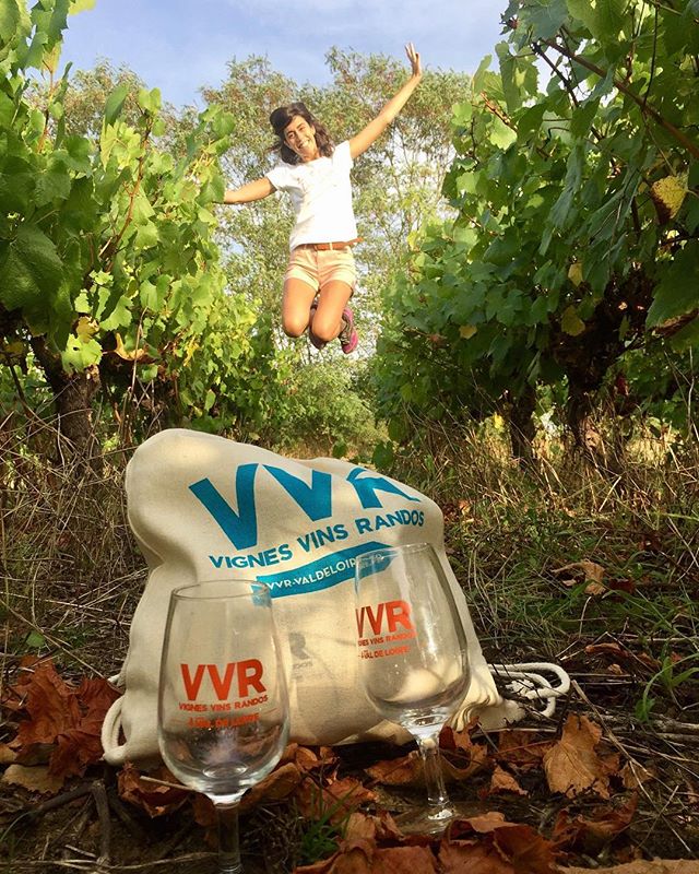 vvrvaldeloire's tweet photo. Découvrez les 10 photos gagnantes de notre grand jeu #VVR17 ! Votre photo en fait-elle partie ? ;) https://t.co/Pd5W7QfQjW #Instavigne #VVR https://t.co/q9pGvGCh2l