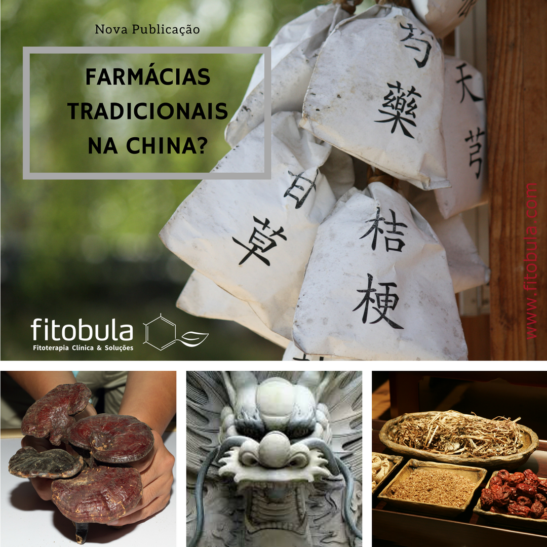 fitobula's tweet photo. Nova Publicação: https://t.co/cVaeFPqVUn
#fitoterapia #medicina #nutrition #saude #praticasintegrativas #medicinatradicionalchinesa https://t.co/aku9ZlG3R9