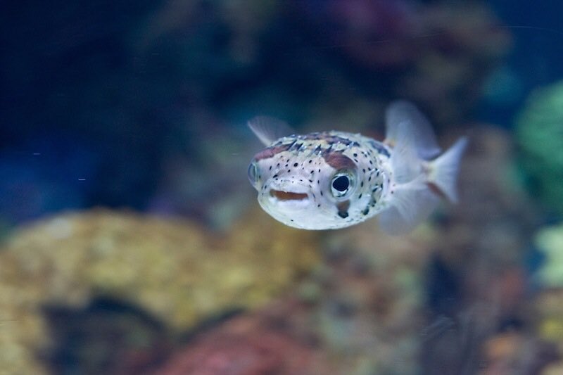 have a great day my pals!!!!!