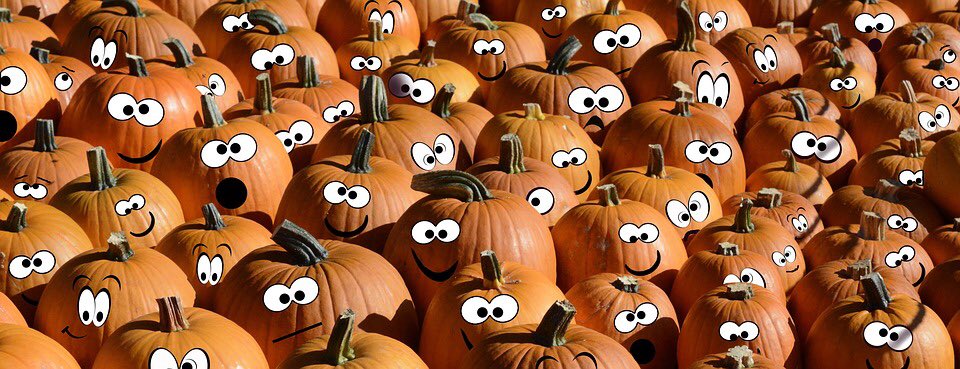 Nothingbutsnack's tweet photo. #HappyHalloween everyone 👻🎃🕷 Question is, which pumpkin sums up your day?? 😲🤔😐😄😏 https://t.co/XGiINXadot