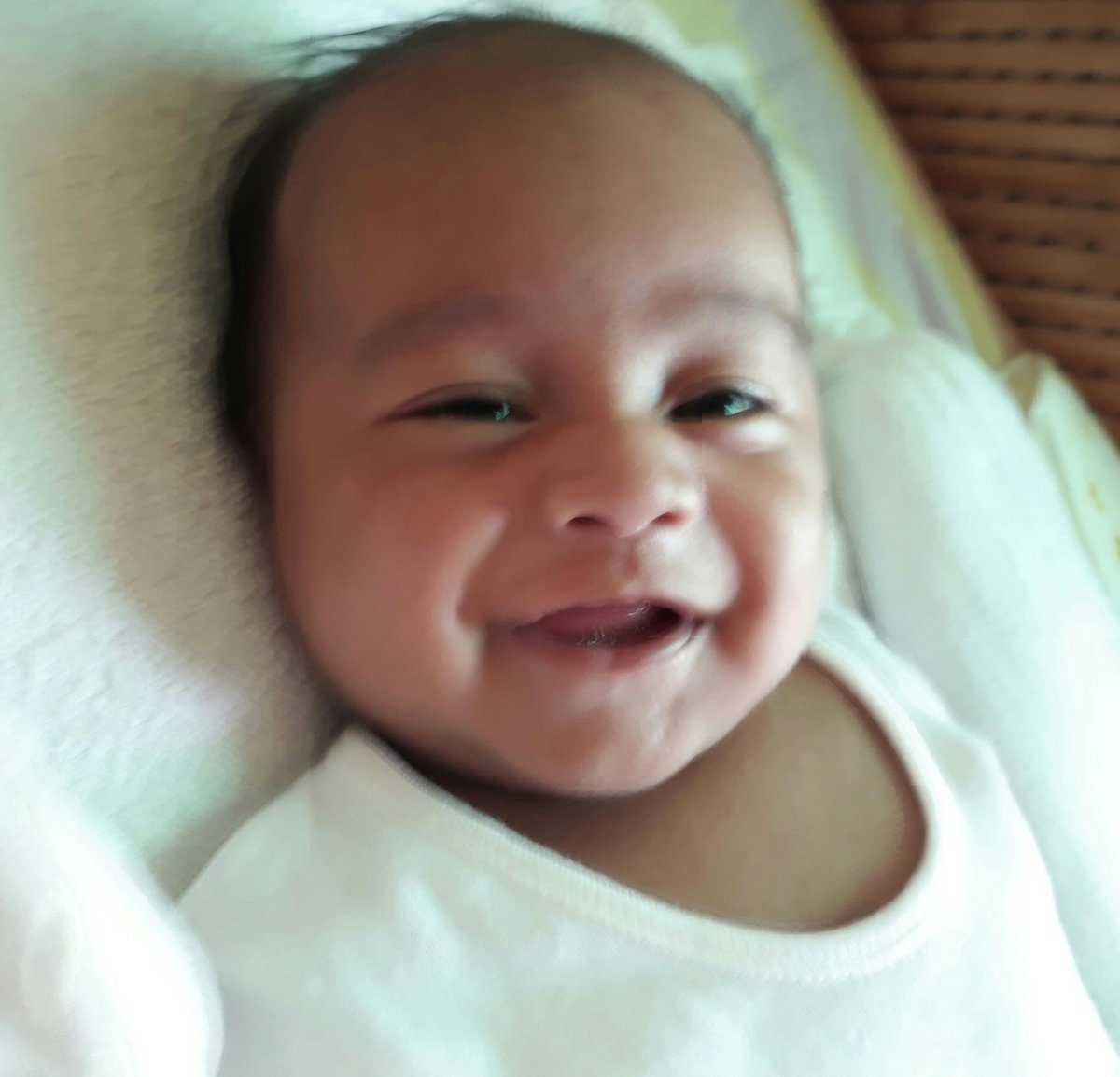 𝓡𝓸𝓼𝓮𝓵𝔂𝓷 tweet media